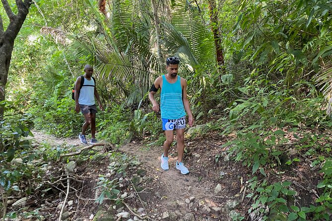 Palo María Waterfalls Hike Half-Day Tour - Who should book this experience?