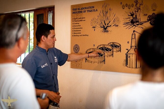 Premium Artisanal Tequila Tasting at El Tasting Room - What You Learn Beyond the Pour