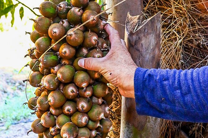 Private 4 hour Hiking Adventure + Breakfast in Nogalito Ecopark - Reaching Nogalito Ecopark from Puerto Vallarta