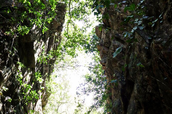 Private 4 hour Hiking Adventure + Breakfast in Nogalito Ecopark - Is this good for children?