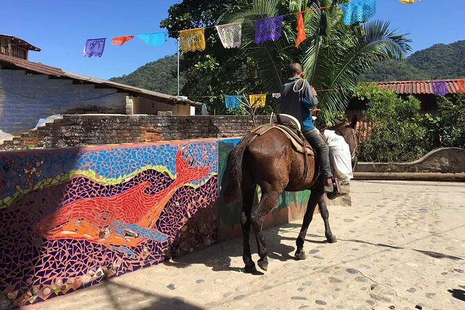 Private Boat Tour to Yelapa - Should you book La Vida Bella to Yelapa?
