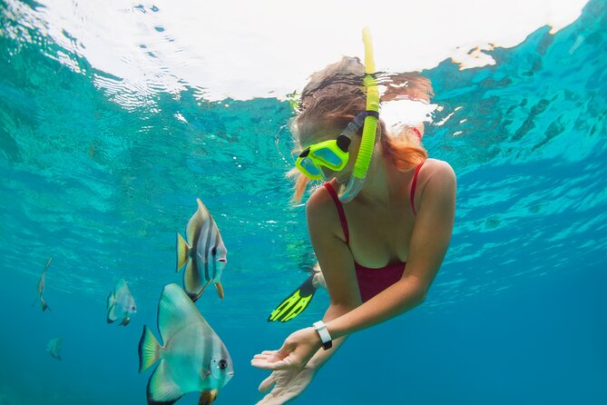 Private Boat Tour to Yelapa and Majahuitas Snorkel (up to 7 guests) - What is included, and what you still need to pay for