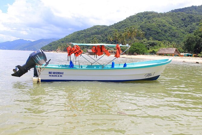 Private Boat Tour to Yelapa and Majahuitas Snorkel (up to 7 guests) - Who will get the most from this boat day