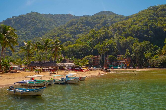 Private Boat Tour to Yelapa with Snorkeling and Waterfall Hike - Why Yelapa works so well as a boat day