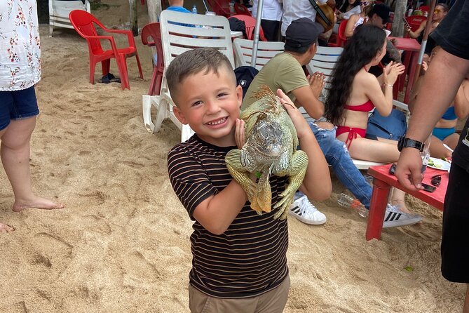 Private City Tour & Rain Forest - A quick visit to the town connected with Puerto Vallarta’s tourism story