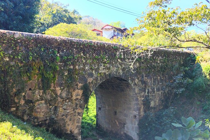 Private day trip to Magical San Sebastián del Oeste. - Agave fields and the taste of raicilla