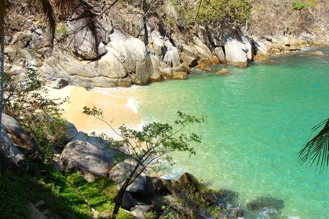 Private Los Arcos Snorkel and Beach Tour from Puerto Vallarta - Why the guide can make or break the water stop