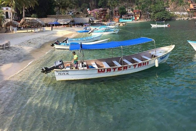 Private Los Arcos Snorkel and Beach Tour from Puerto Vallarta - The final call: book it or skip it?