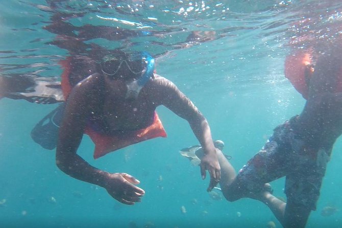 Private Los Arcos snorkeling - Snacks, soft drinks, and the small comforts