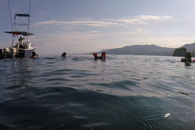 Private Los Arcos snorkeling - At Los Arcos, the main event