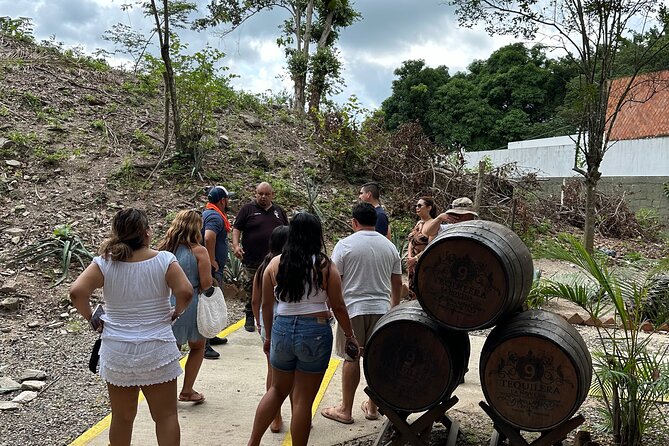 Private Puerto Vallarta Journey Through the Heart of the City - What the private format adds