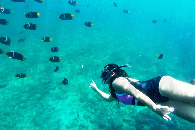 Private Snorkeling Adventure: Los Arcos & Colomitos Beach - Why Los Arcos makes a strong half-day outing