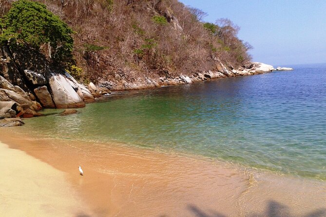 Private Snorkeling Adventure: Los Arcos & Colomitos Beach - Colomitos Beach gives the day a change of pace