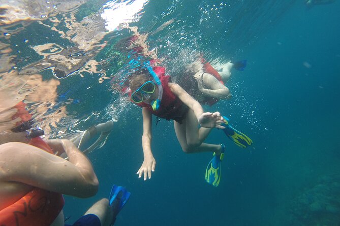 Private Snorkeling Adventure: Los Arcos & Colomitos Beach - The Marina Vallarta start keeps things simple