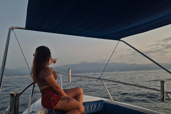 Private Tour 3 Hours of Whale Watching - Finding Whales, Dolphins, and Turtles