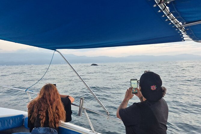 Private Tour 3 Hours of Whale Watching - Timing at Los Peines Dock