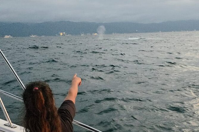 Private Tour 3 Hours of Whale Watching - Cancellation and Weather Rules