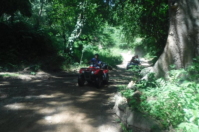 Private Tour: ATV SIERRA MADRE rivers with Tequila Tasting - What private touring changes