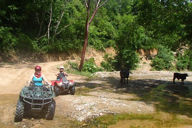 Private Tour: ATV SIERRA MADRE rivers with Tequila Tasting - Timing, meeting point, and cruise ship planning