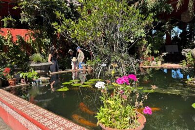 Private Tour: Botanical Garden & Petroglyphs