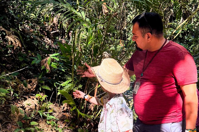 Private Tour: Botanical Garden & Petroglyphs - Transport, timing, and group comfort