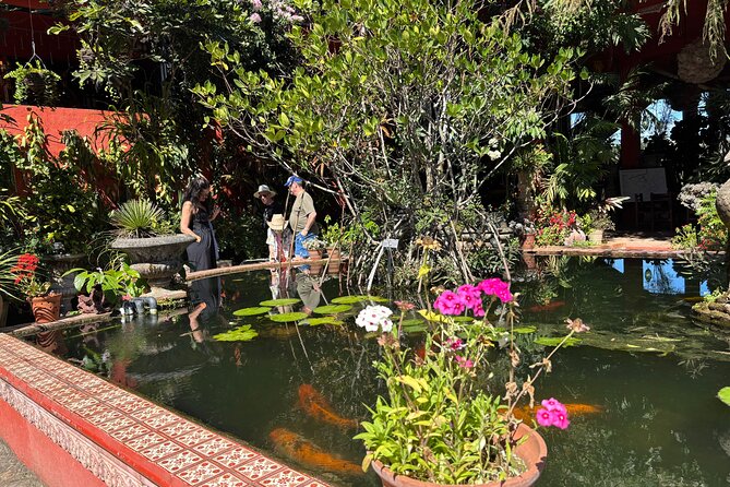Private Tour: Botanical Garden & Petroglyphs - Ancient petroglyphs and the region’s indigenous past