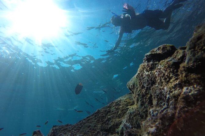Private Tour Hidden Beach - A short stop at Nopalera Beach