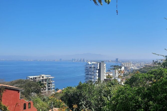 Private Tour of Puerto Vallarta and the Subtropical Forest - Why this private Puerto Vallarta tour works