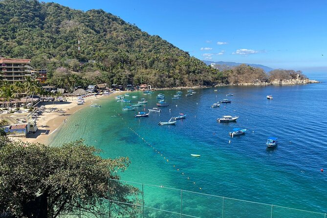 Private Tour of Puerto Vallarta and the Subtropical Forest - A relaxed lunch break in the Romantic Zone