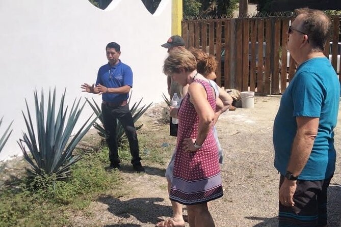 Private Tour, Sayulita & San Pancho - Optional food and tasting stops