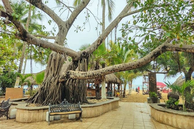 Private Tour, Sayulita & San Pancho - Sayulita in two parts: guided streets, then free time