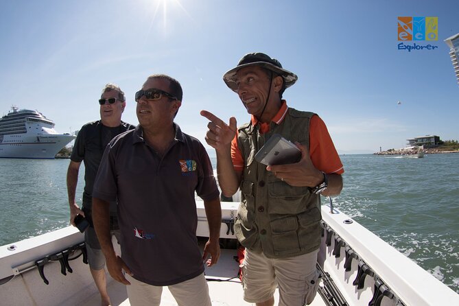 Private Whale watching Puerto Vallarta - What the hydrophone adds to the trip
