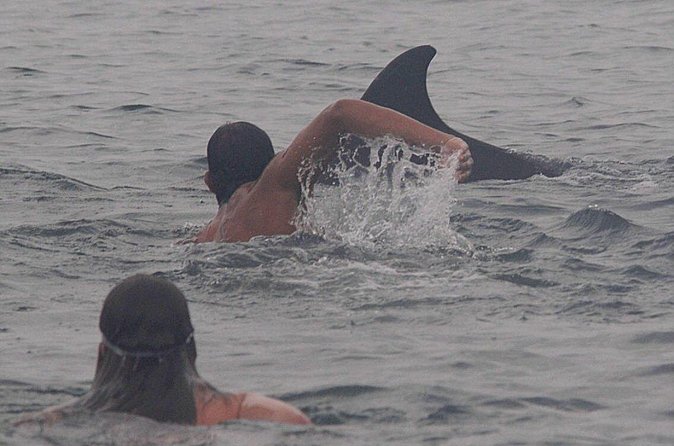 Private Wild Dolphin Encounter in Puerto Vallarta - Lunch, drinks, and the practical comforts