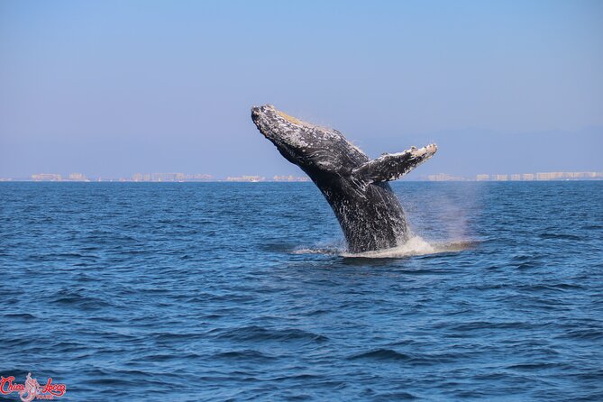 Private Yacht Charter on ChicaFun 1 Waterslides all inclusive - Birthdays, fishing, and family celebrations