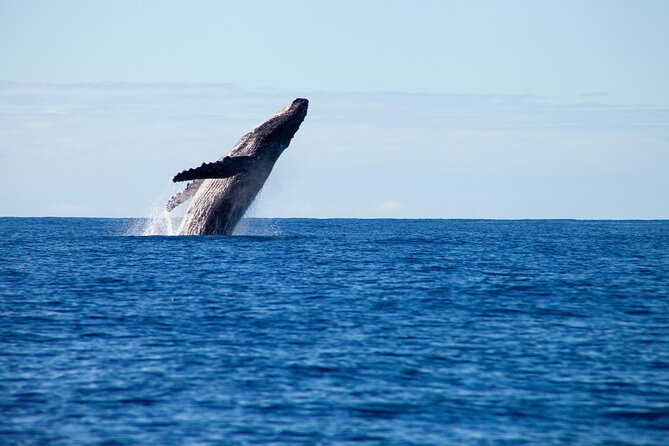 Private Yacht, Sightseeing, Snorkeling and Private beaches - Why the private format matters