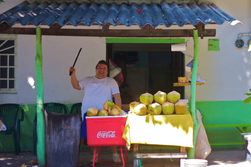 Puerto Vallarta 3-Hour Food Tour of Authentic Local Cuisine - The guides make the food easier to understand