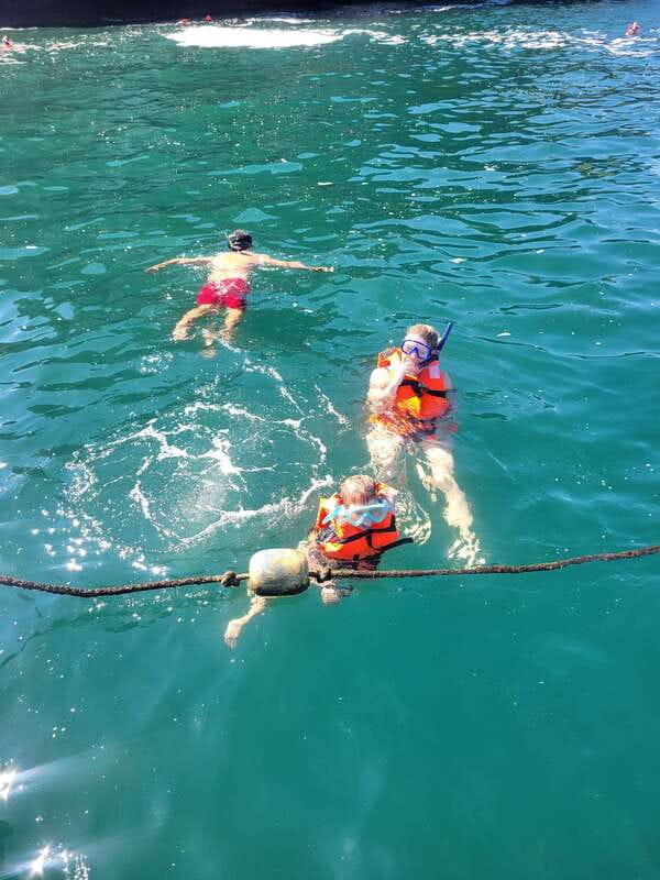 Puerto Vallarta: 3-Hour Whale Watching and Snorkeling - From the marina to the open bay