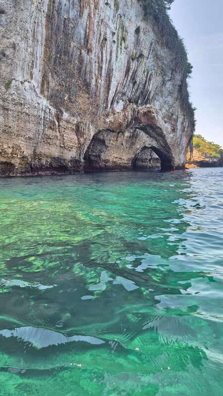 Puerto Vallarta: 3-Hour Whale Watching and Snorkeling - What the $45 price really covers