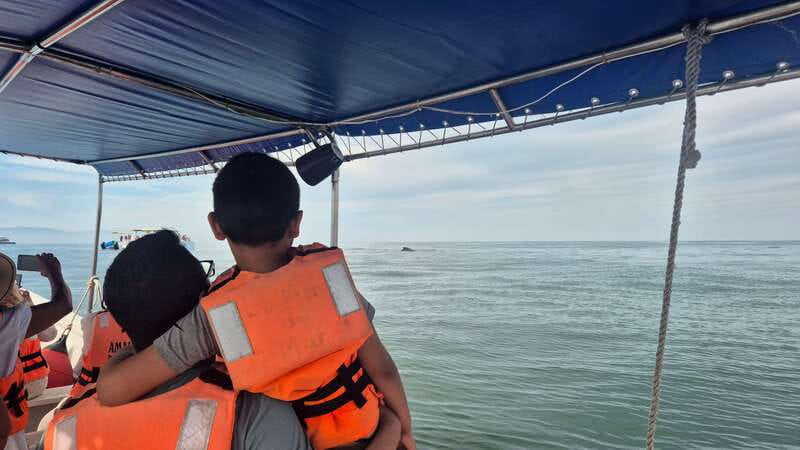 Puerto Vallarta: 3-Hour Whale Watching and Snorkeling - Who should book this boat trip