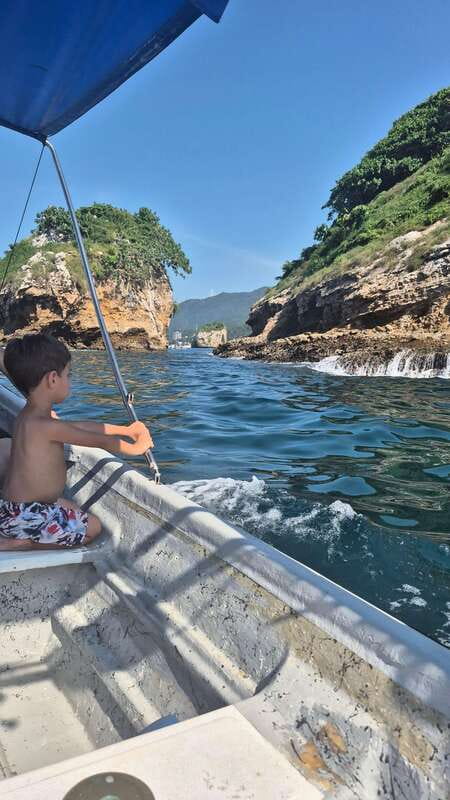Puerto Vallarta: 3-Hour Whale Watching and Snorkeling - Should you book the Puerto Vallarta whale tour?