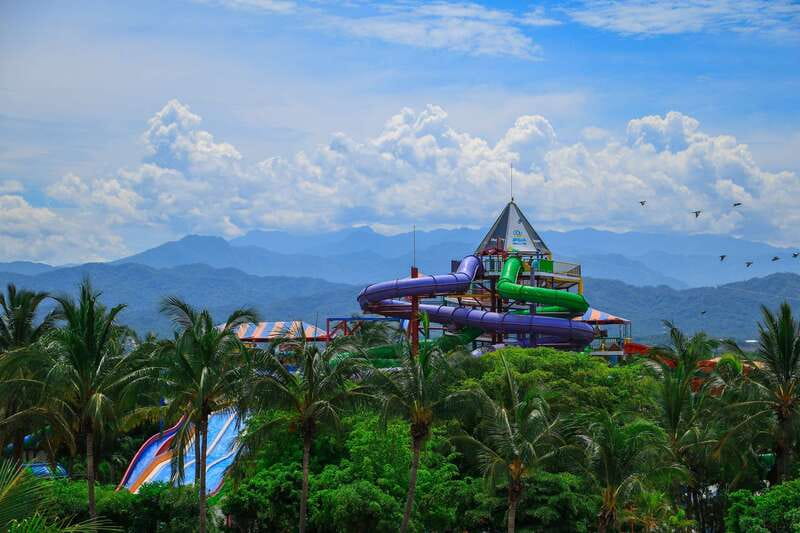 Puerto Vallarta: Aquaventuras Park Admission Ticket - Dolphin and sea lion presentations