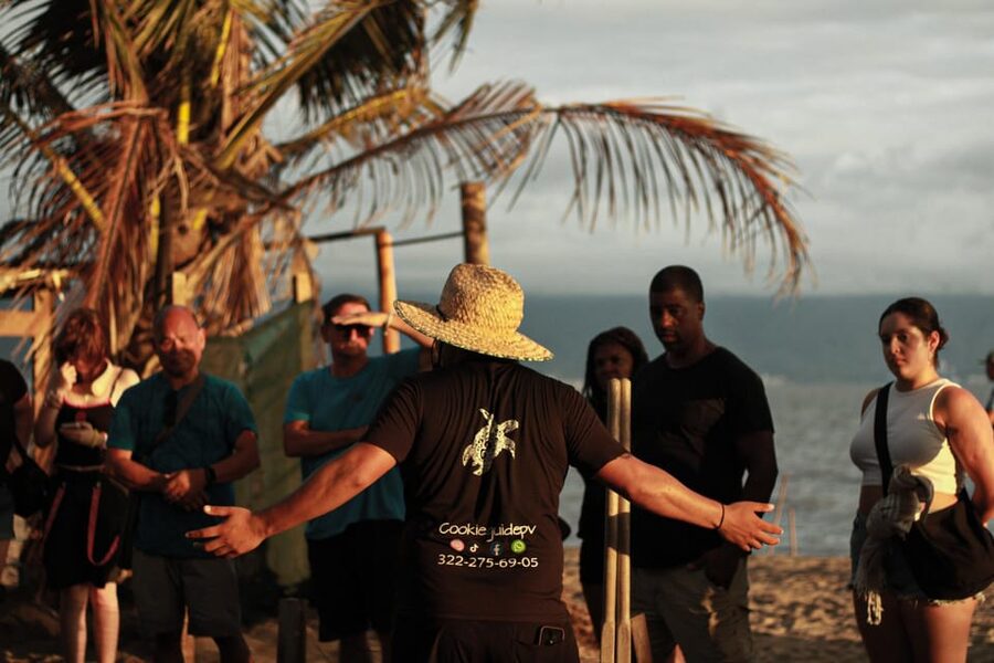Puerto Vallarta: Baby Turtle Release in Conservation Area - Key points to know before you book