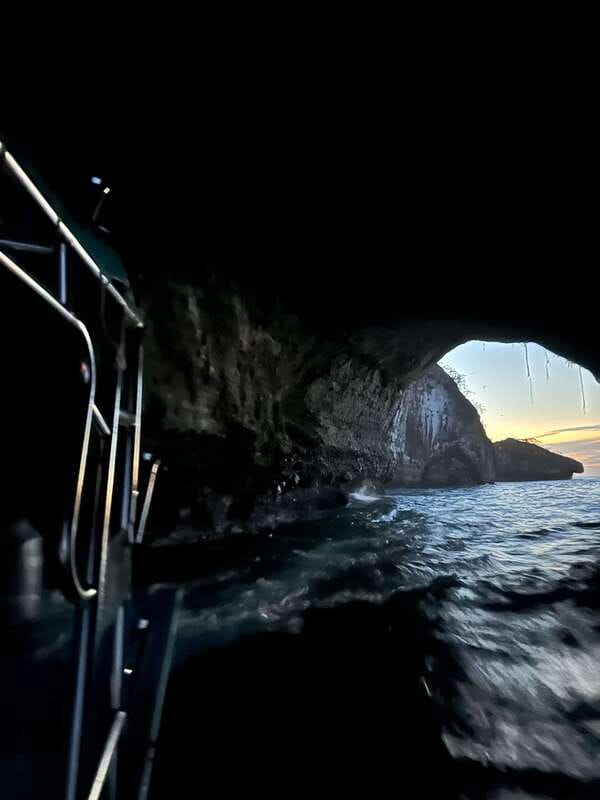 Puerto Vallarta: Bioluminescence in Los Arcos Marine Park - Key points to know before booking