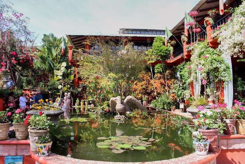 Puerto Vallarta: Botanical Gardens, Distillery & Coffee Tour - A Garden Visit That Reaches Beyond the City