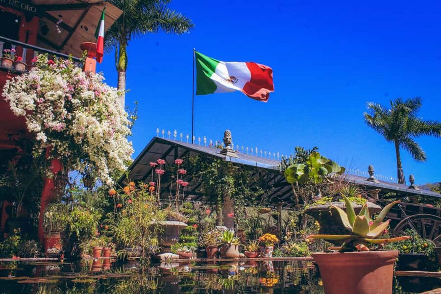 Puerto Vallarta: Botanical Gardens, Distillery & Coffee Tour - A Short Stop at an Organic Coffee Factory