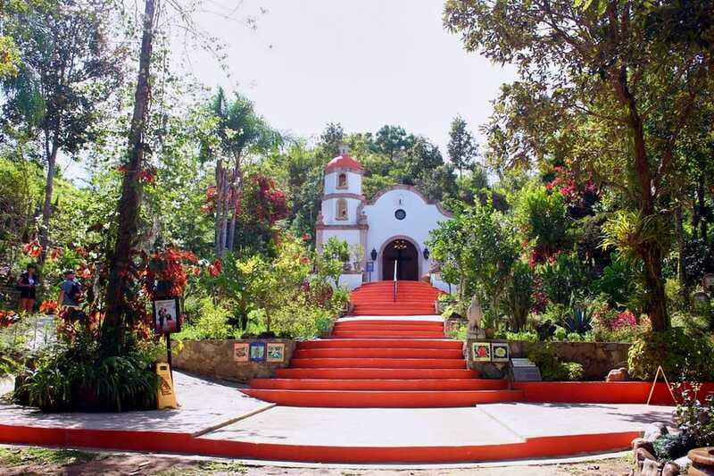 Puerto Vallarta: Botanical Gardens, Distillery & Coffee Tour - Who Will Enjoy This Six-Hour Outing?