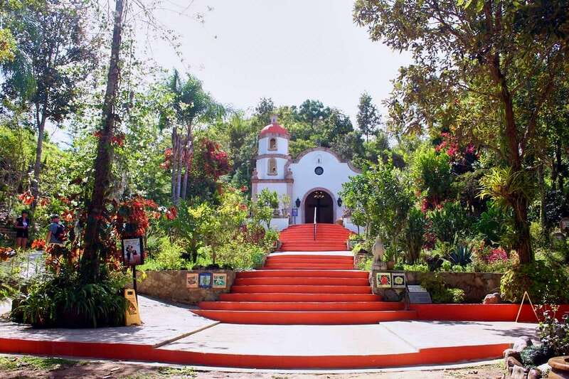 Puerto Vallarta: Botanical Gardens, Distillery & Coffee Tour - Eight Hectares of Orchids, Palms, and Dry Forest