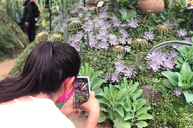Puerto Vallarta Botanical Gardens Hiking Tour - Why this Puerto Vallarta day works so well