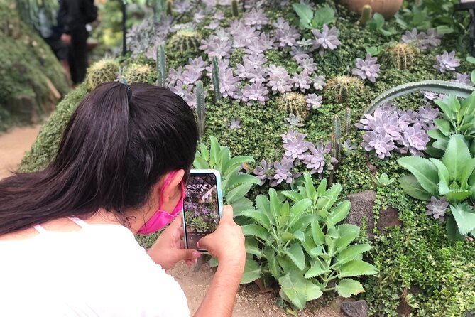 Puerto Vallarta Botanical Gardens Hiking Tour - Los Veranos: river pools, slides, and floating