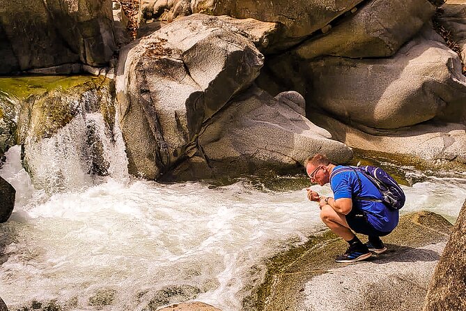 Puerto Vallarta Botanical Gardens Hiking Tour - Transportation, timing, and the meeting point